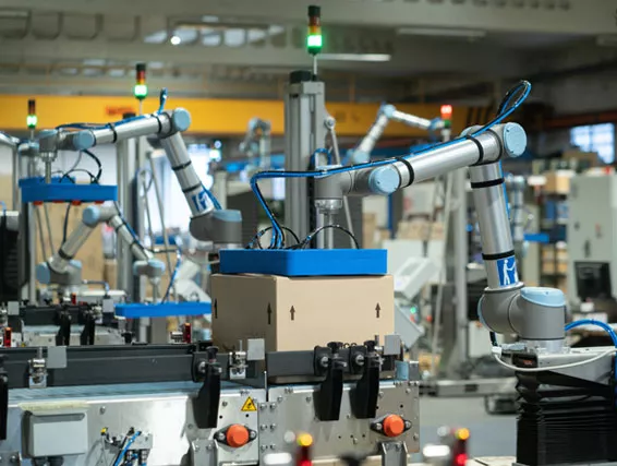 Paletizado con cobots xolertic group